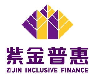 紫金普惠金融信息咨詢江蘇有限公司 經(jīng)濟信息咨詢領(lǐng)域的專業(yè)服務(wù)者